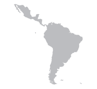 Latin America Icon